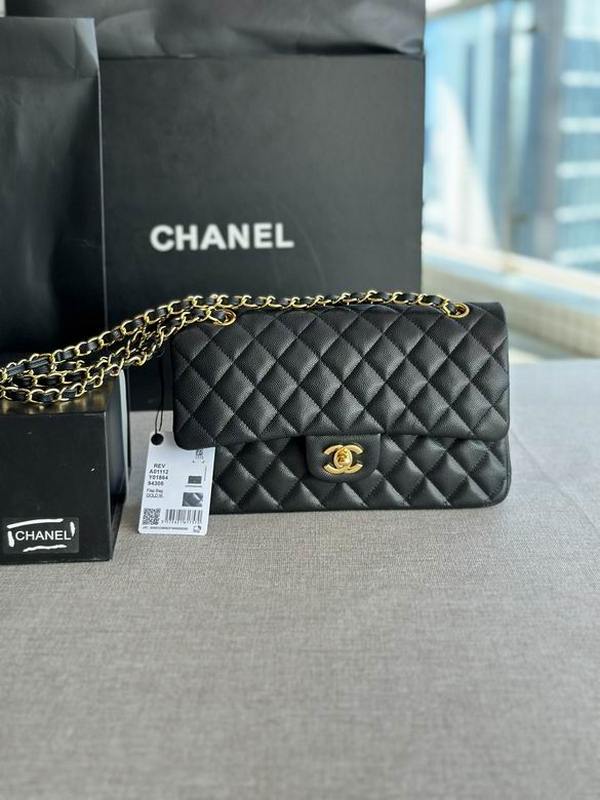 Chanel Handbags 318